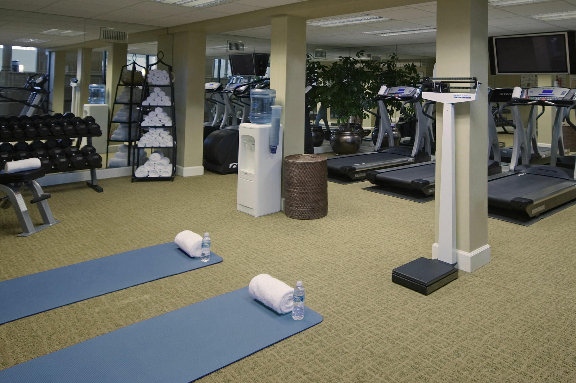 Crowne Plaza Jacksonville Airport By Ihg Bagian luar foto